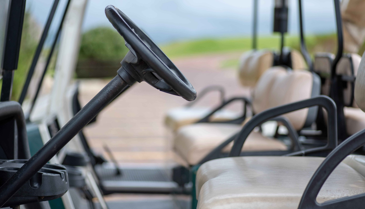 Golf Cart Battery