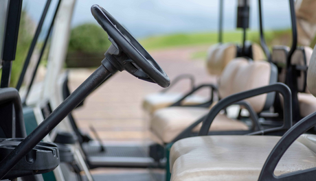 Golf Cart Battery